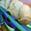 resize1179.jpg