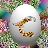 resize1108.jpg