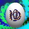 resize1126.jpg
