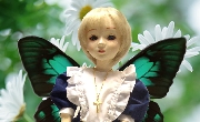 Cimg0147ao.jpg