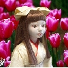 resize0780.jpg