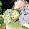 resize1479.jpg