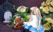 resize1146.jpg
