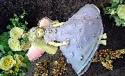resize1479.jpg