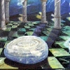 resize1167.jpg