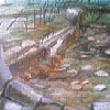 resize1173.jpg